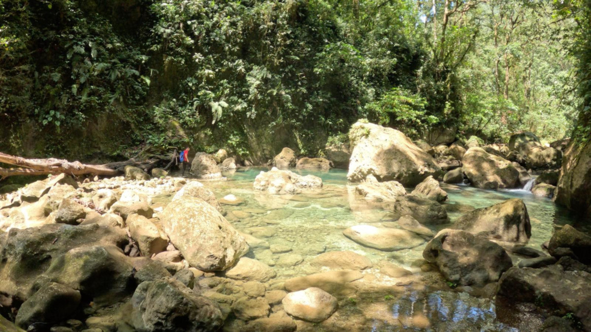 Plusieurs capteurs de charbon actif installés dans les résurgences et dans le lit de la rivière