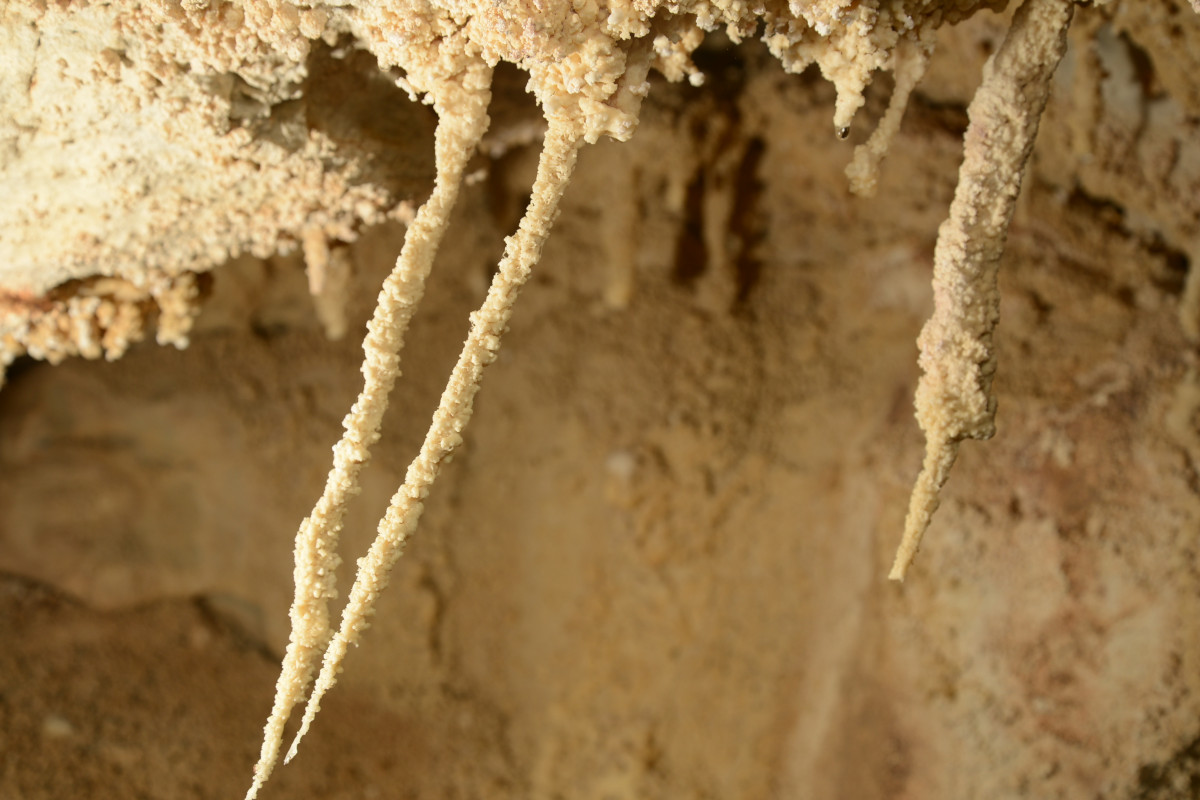 Imagen tomada en la galería con corrientes de aire de la Cueva del Anciano, donde las concreciones presentan una inclinación de 30°